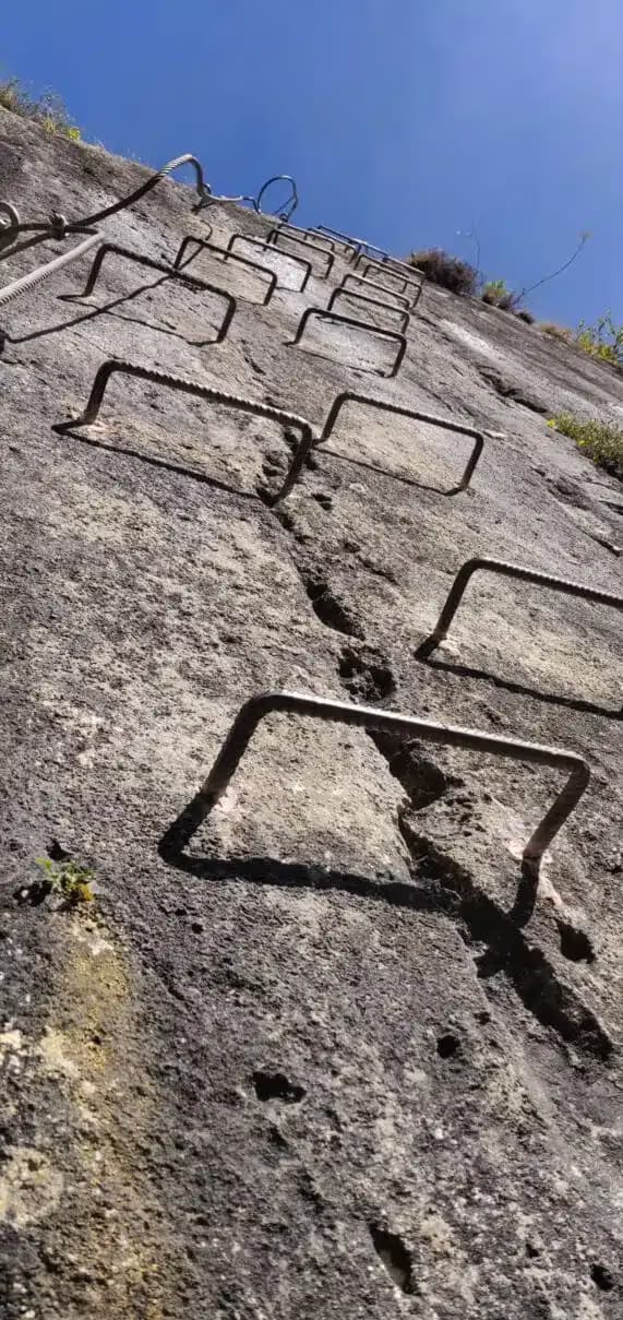 Morez - Fun and Playful, suitable for children